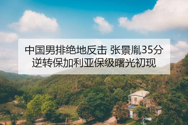 zhong-guo-nan-pai-jue-di-fan-ji-zhang-jing-yin-fen-ni-zhuan-bao-jia-li-ya-bao-ji-shu-guang-chu-xian-2-911.jpg