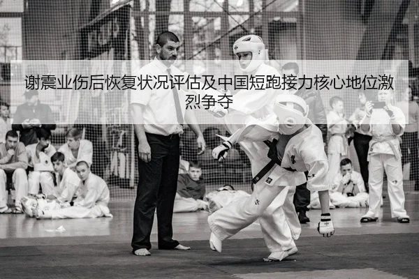 xie-zhen-ye-shang-hou-hui-fu-zhuang-kuang-ping-gu-ji-zhong-guo-duan-pao-jie-li-he-xin-di-wei-ji-lie-zheng-duo-2-138.jpg